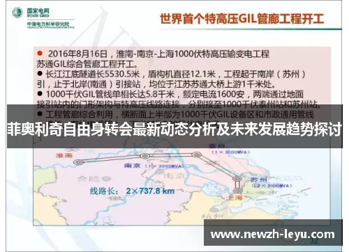 菲奥利奇自由身转会最新动态分析及未来发展趋势探讨