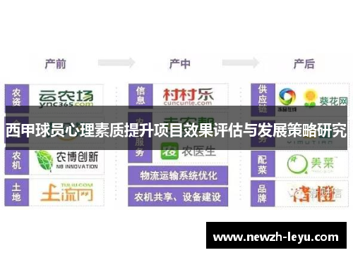 西甲球员心理素质提升项目效果评估与发展策略研究