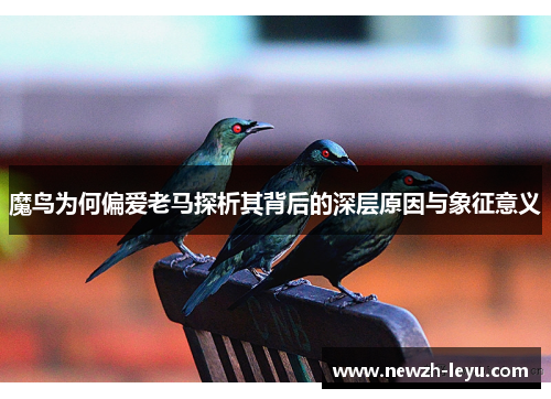魔鸟为何偏爱老马探析其背后的深层原因与象征意义
