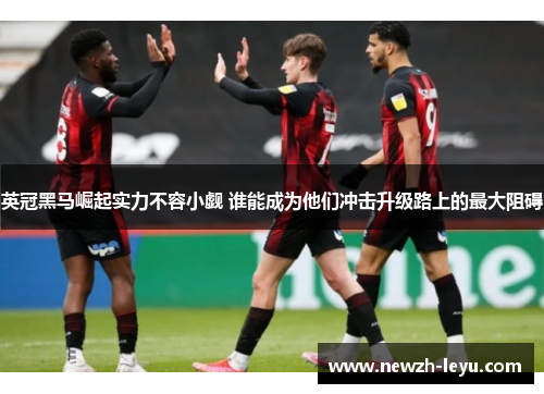英冠黑马崛起实力不容小觑 谁能成为他们冲击升级路上的最大阻碍