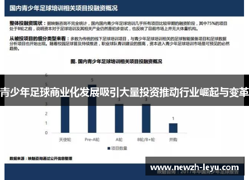 青少年足球商业化发展吸引大量投资推动行业崛起与变革 青少年足球商业化发展吸引大量投资推动行业崛起与变革